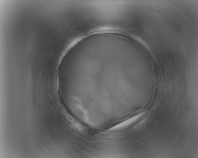 X0000059841413200511041801