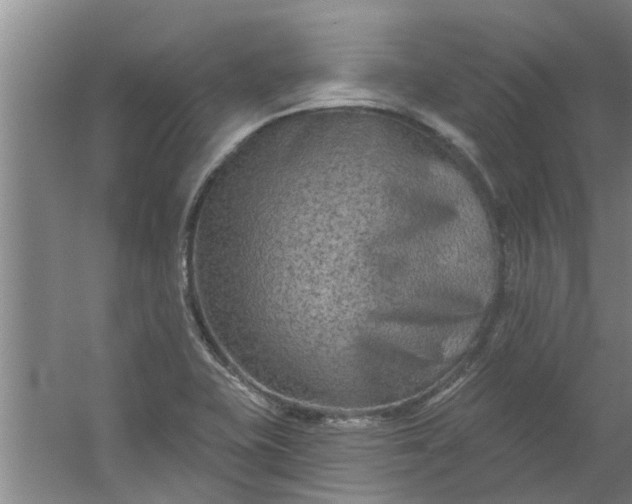 X0000059841415200511041801