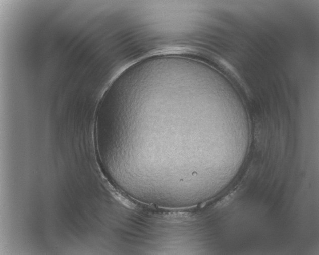 X0000059841417200511041801