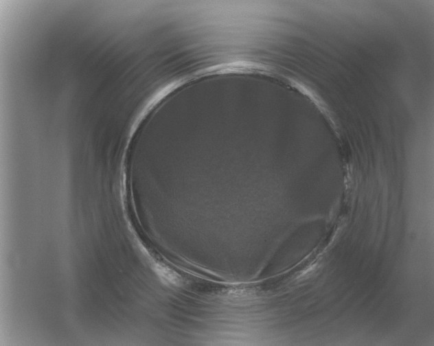 X0000059841418200511041801