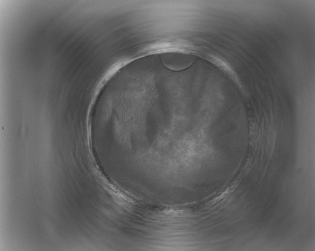 X0000059841419200511041801