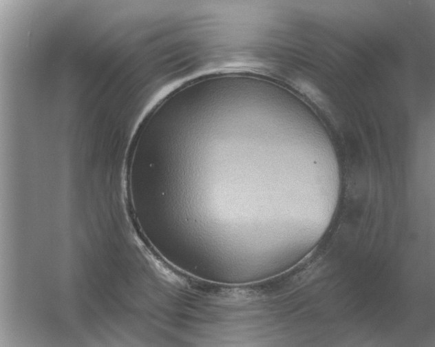 X0000059841420200511041801