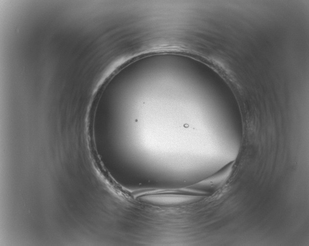 X0000059841422200511041801