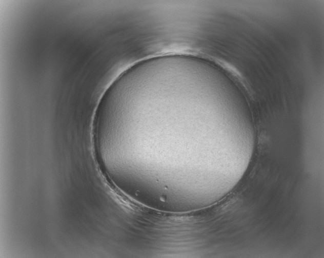 X0000059841423200511041801