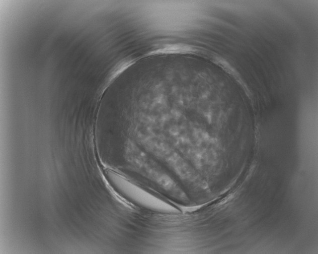 X0000059841425200511041801