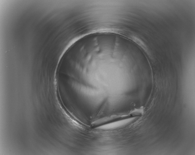 X0000059841428200511041801