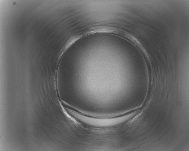 X0000059841433200511041801