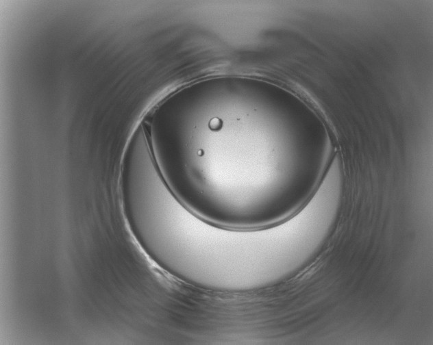 X0000059841434200511041801