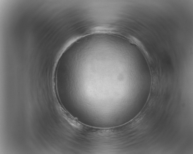 X0000059841435200511041801