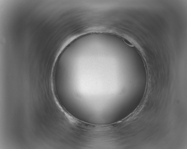 X0000059841440200511041801