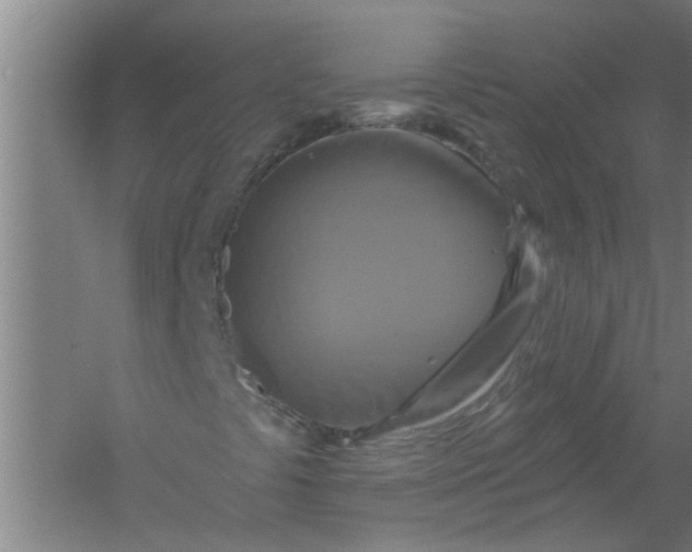 X0000059841441200511041800