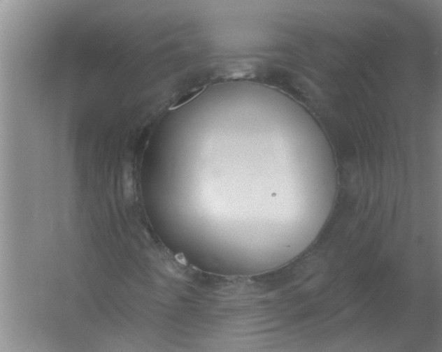 X0000059841442200511041800