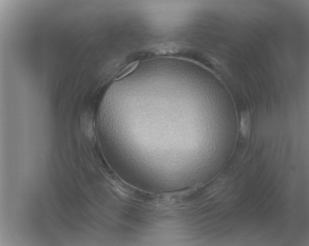 X0000059841444200511041800