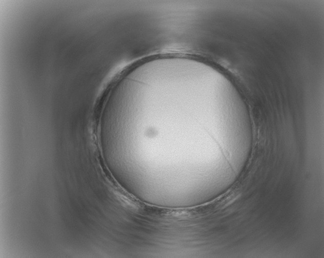 X0000059841454200511041800