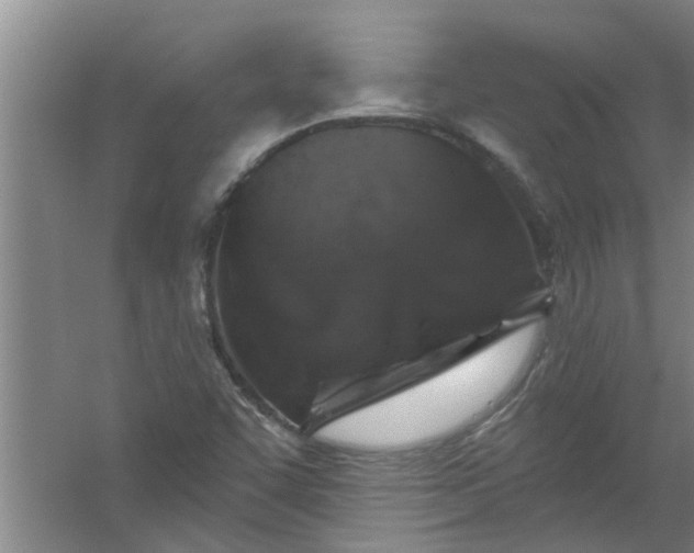 X0000059841455200511041800