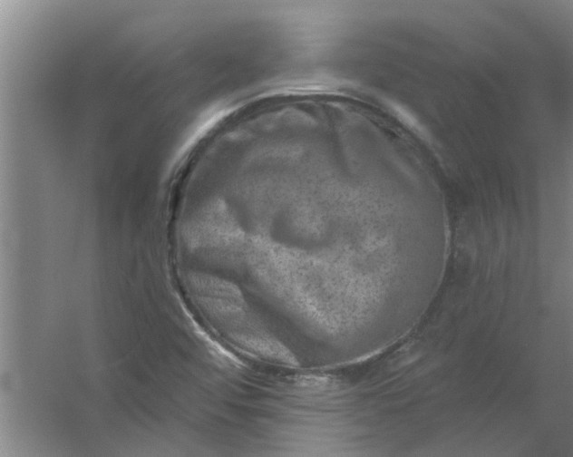 X0000059841456200511041800