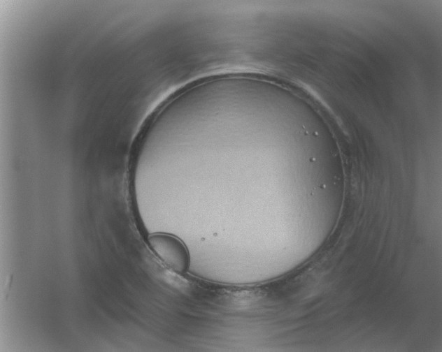 X0000059841460200511041800