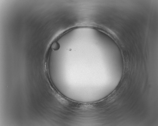 X0000059841462200511041800