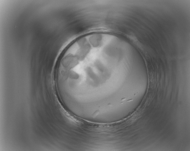 X0000059841466200511041800