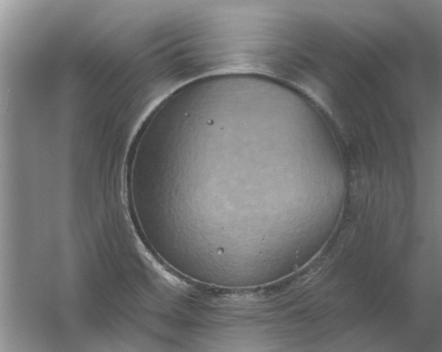 X0000059841468200511041800