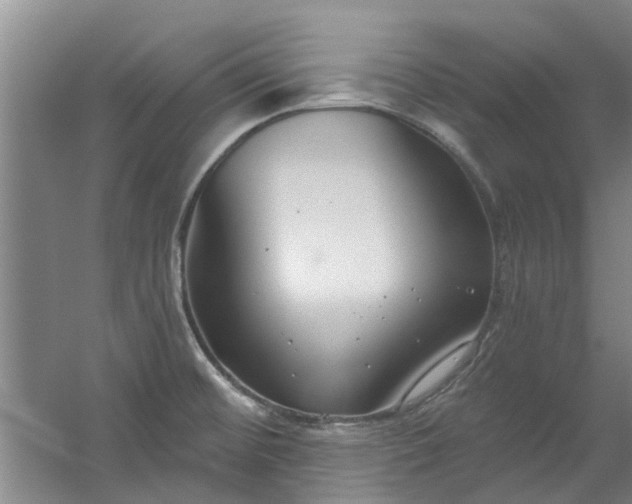 X0000059841476200511041800