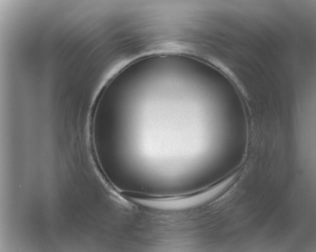 X0000059841477200511041800