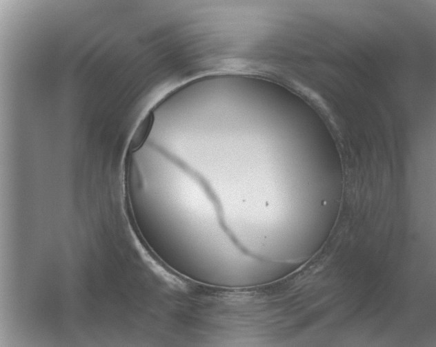 X0000059841479200511041800