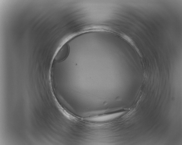 X0000059841482200511041800