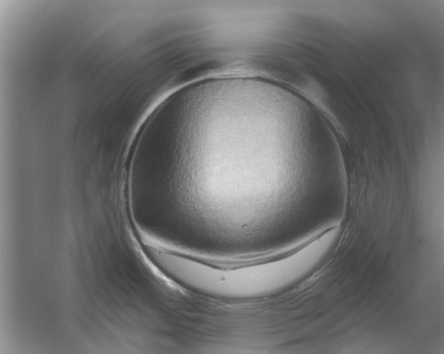 X0000059841484200511041800