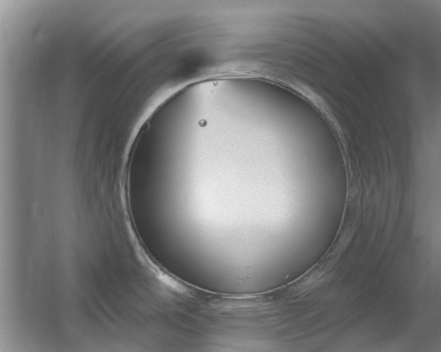 X0000059841486200511041800