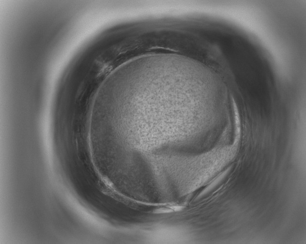 X0000059841487200511041800