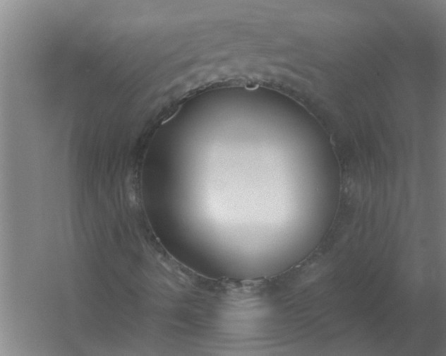 X0000059841490200511041759