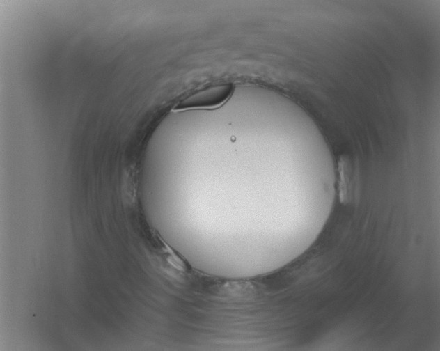 X0000059841491200511041759