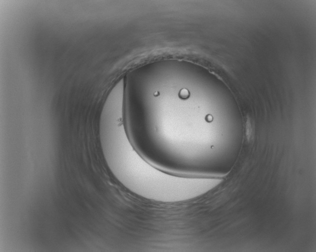 X0000059841492200511041759