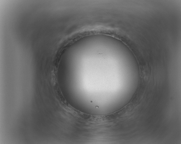 X0000059841493200511041759