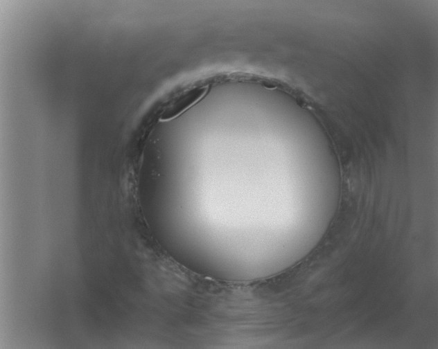 X0000059841495200511041759