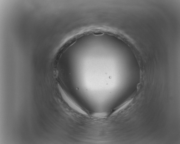 X0000059841496200511041759