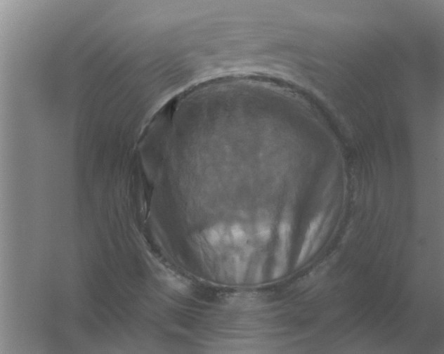 X0000059841497200511041759