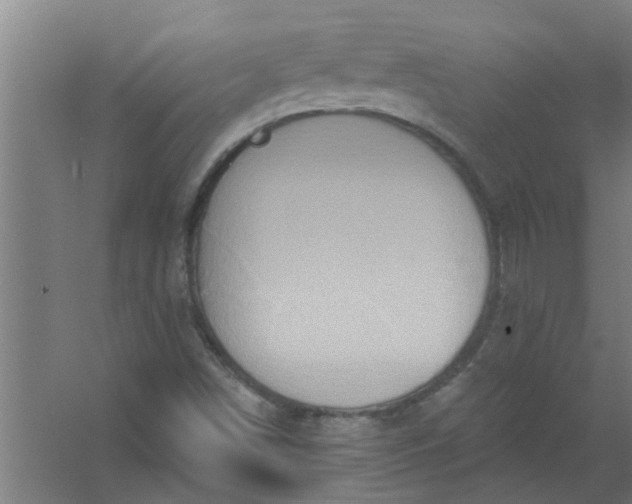 X0000059841498200511041759