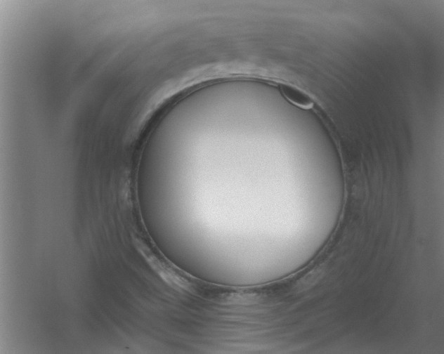 X0000059841499200511041759