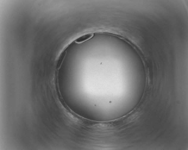 X0000059841500200511041759