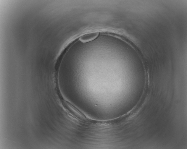 X0000059841501200511041759