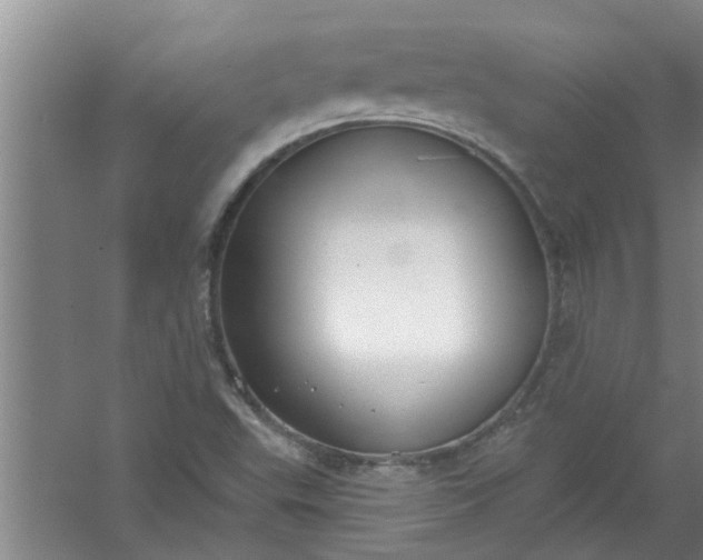 X0000059841503200511041759