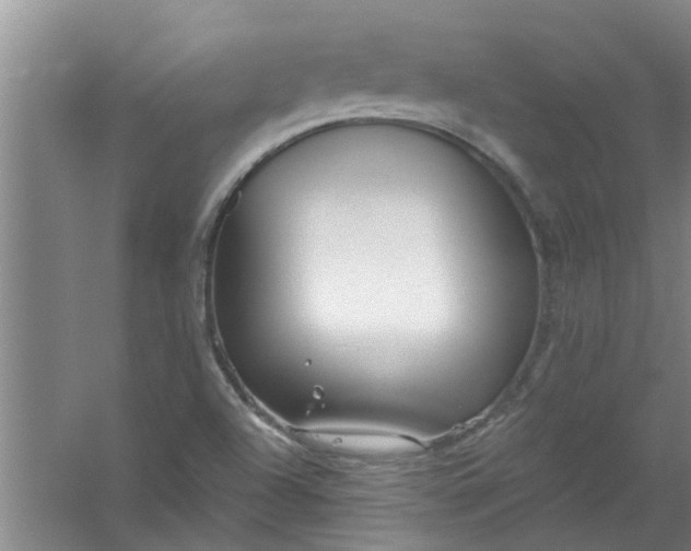 X0000059841504200511041759