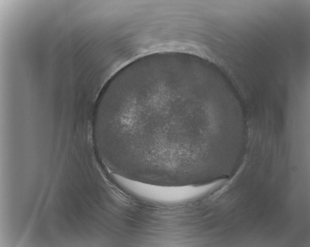 X0000059841505200511041759