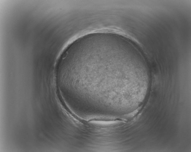 X0000059841506200511041759