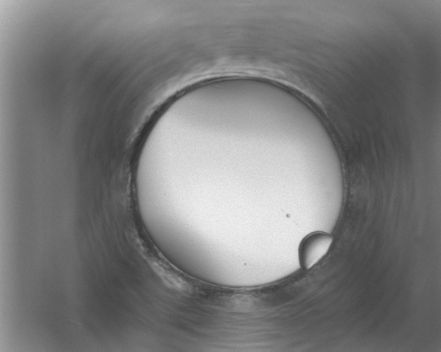 X0000059841507200511041759