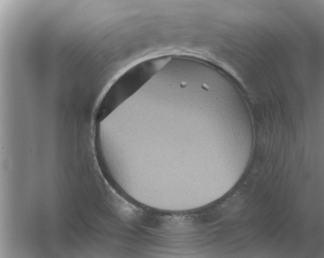 X0000059841508200511041759