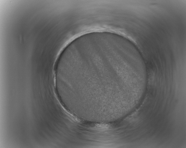 X0000059841509200511041759