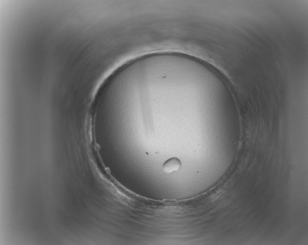 X0000059841510200511041759